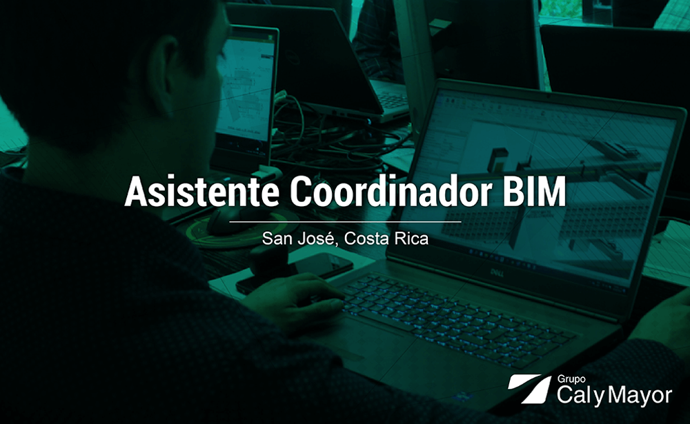 Asistente Coordinador BIM
