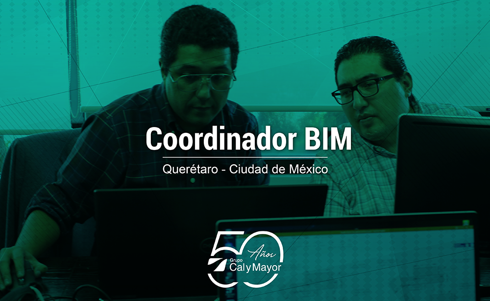 Coordinador BIM
